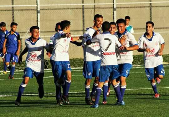 الناشئين 2004 الزعيم والطواحين إلى النهائي